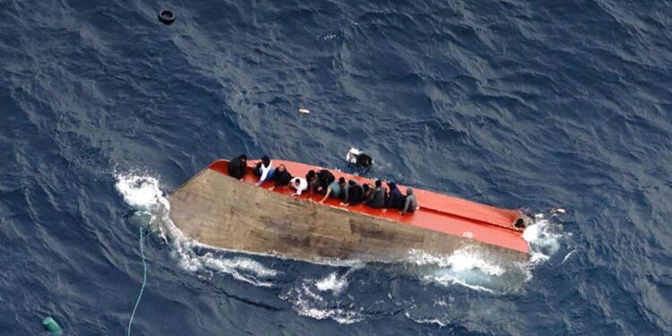 Le ong all’attacco, ‘nauseante parlare di compensazioni’