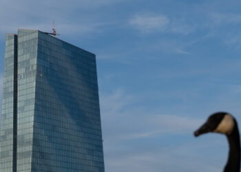 Bce, raddoppia l’uso dell’Ia ma la metà dei dipendenti è frenata