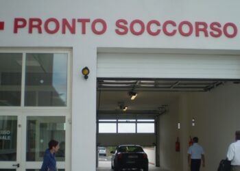 Salgono a venti i casi di contagio di febbre del Nilo nell’Oristanese