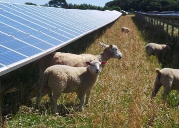 Gse, le Cer crescono in Italia con benefici sociali e per i territori