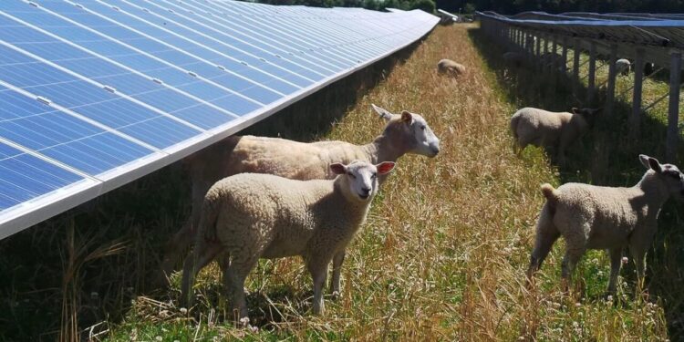 Gse, le Cer crescono in Italia con benefici sociali e per i territori