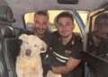 Cane ferito e disperso salvato dalla polizia, Whisky ridato ai proprietari
