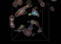 Mappata la struttura cosmica del Superammasso della Vela
