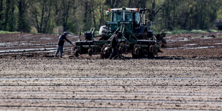 Agea, domande entro il 30 settembre per il bonus gasolio agricoltura