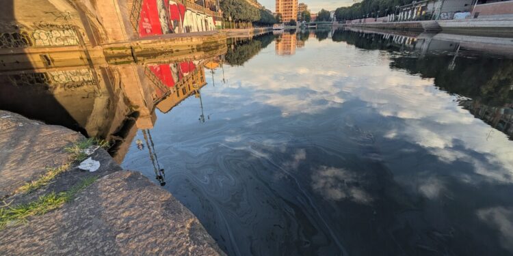 In Darsena a Milano l’odore di olio esausto della chiazza di gasolio