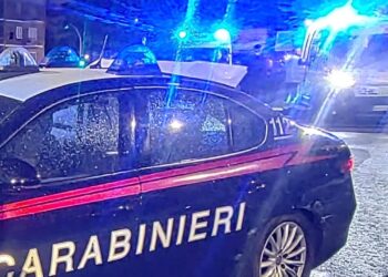 Incidente sul lavoro, muore incastrato in una vendemmiatrice