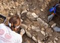 Resti di bambini durante gli scavi in una chiesa medievale nel Foggiano