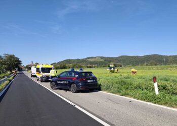 Furgone investe e uccide ciclista nella zona di Cividale del Friuli