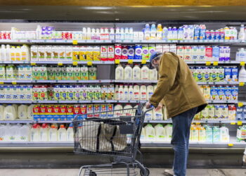 Istat, prezzi energia spingono l’inflazione, ad agosto sale al +3,3%
