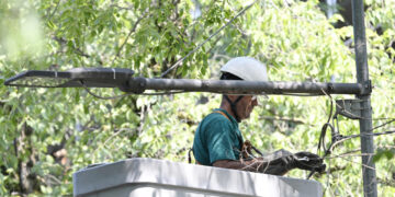 Istat, nel secondo trimestre tasso di occupazione record al 63,1%