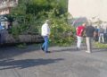 Albero cade su due studenti universitari a Cassino, sono in ospedale