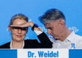 AfD, riprenderci il Sudtirolo? Una stupidaggine
