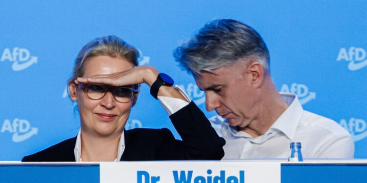 AfD, riprenderci il Sudtirolo? Una stupidaggine