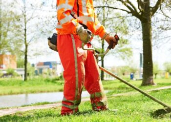 Green in azienda: perché consulenza e cura del verde sono un investimento che rende