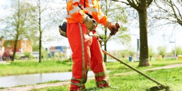 Green in azienda: perché consulenza e cura del verde sono un investimento che rende