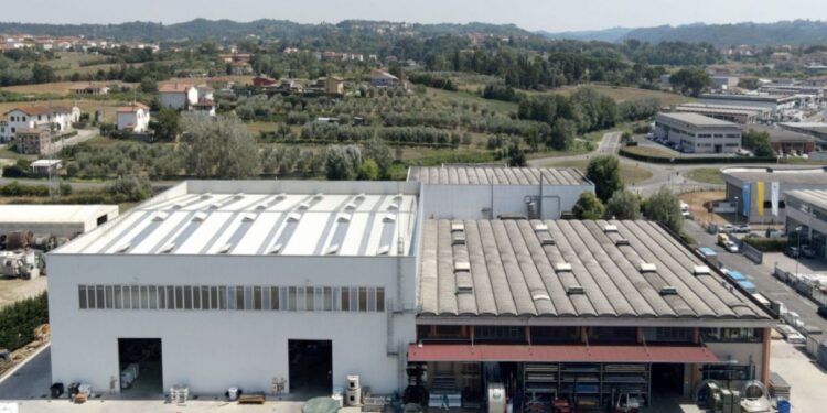 Dal frantoio al mercato: la filtrazione come valore aggiunto di un olio