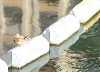 Migliora la situazione nel Naviglio, sostituiti i pannelli assorbenti