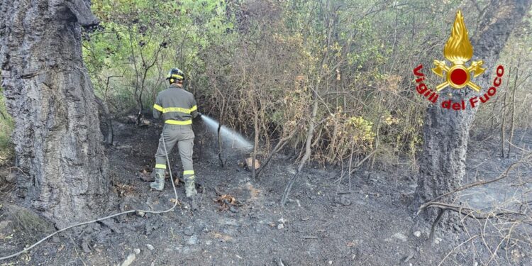 Si riaccende l’incendio che ha divorato 300 ettari in Ogliastra