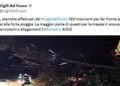Maltempo: alberi caduti e allagamenti a Roma, 120 interventi dei pompieri