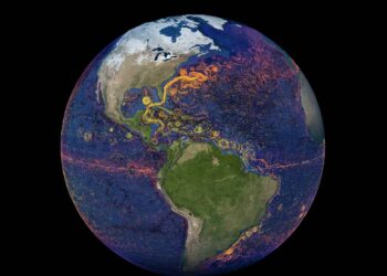 Le correnti oceaniche di Perpetual Ocean 2 della NASA conquistano il web – Il video